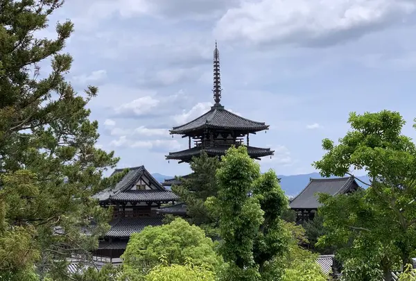 法隆寺西円堂の写真・動画_image_278976