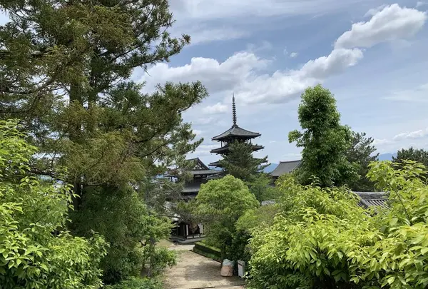法隆寺西円堂の写真・動画_image_278977