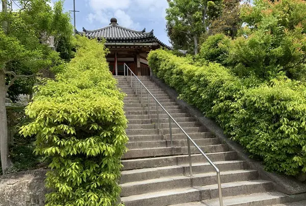 法隆寺西円堂の写真・動画_image_278978