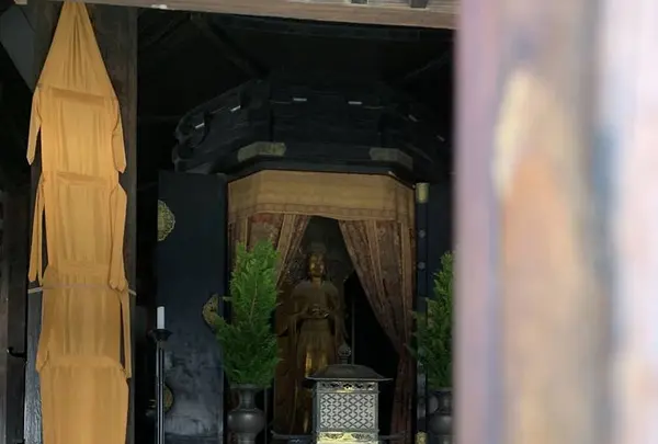 法隆寺 夢殿の写真・動画_image_278983