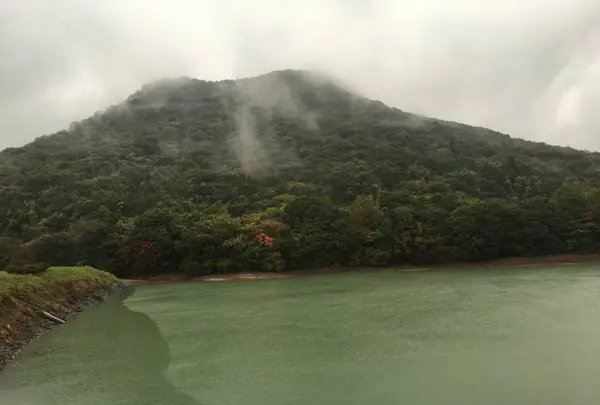 神武東征と一柱騰宮（あしひとつあがりのみや）の写真・動画_image_279001