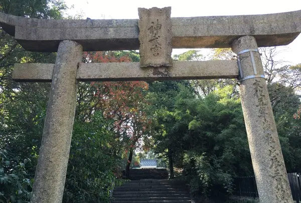 神武天皇社の写真・動画_image_279014