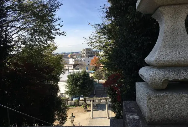 多家神社の写真・動画_image_279019
