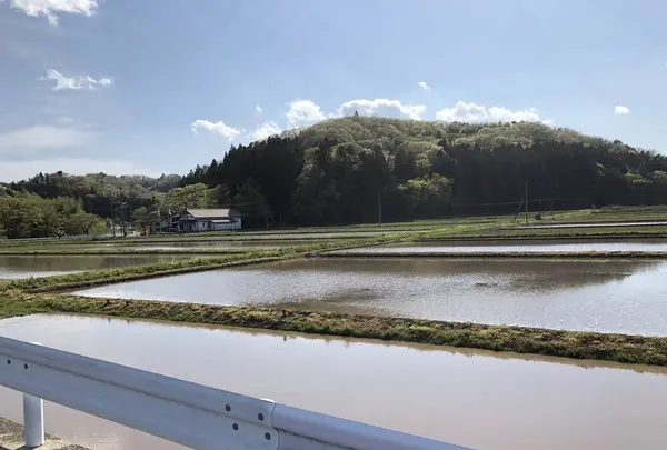 松島海岸の写真・動画_image_279108