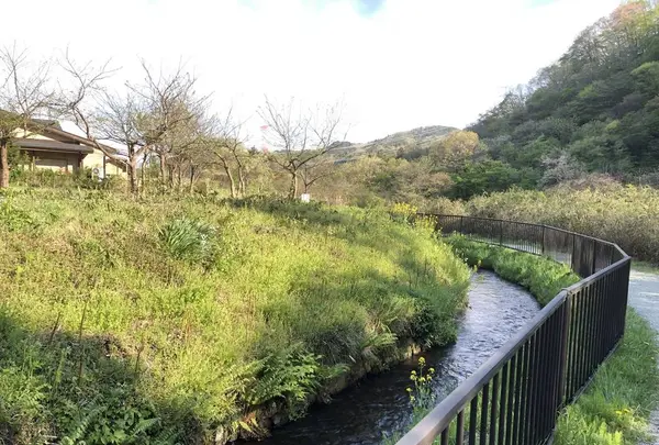 松島海岸の写真・動画_image_279110