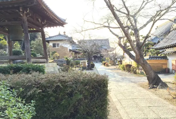 橘寺の写真・動画_image_279176