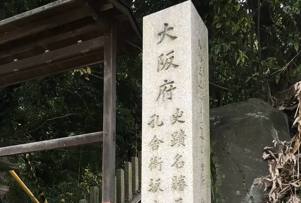 〒579-8001 大阪府東大阪市善根寺町６丁目７−６７の写真・動画_image_279288