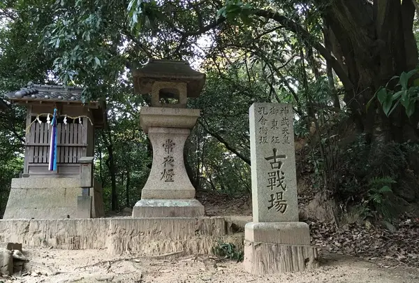〒579-8001 大阪府東大阪市善根寺町６丁目７−６７の写真・動画_image_279289