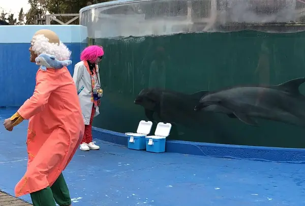 新屋島水族館の写真・動画_image_279381