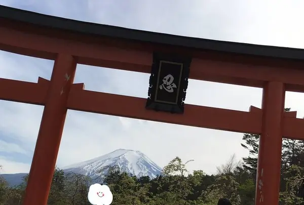 忍野 しのびの里の写真・動画_image_279496