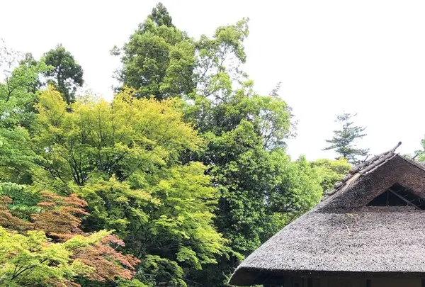 イノダコーヒ 清水支店の写真・動画_image_279521