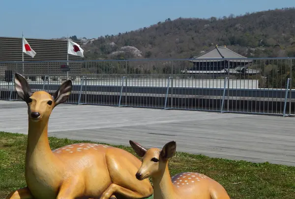 奈良県庁の写真・動画_image_279653