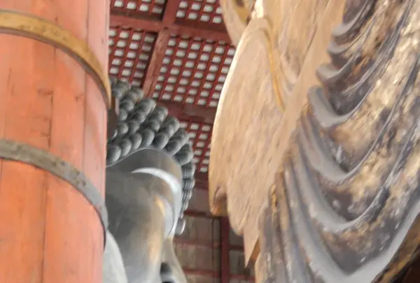 東大寺の写真・動画_image_279662