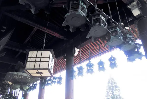 東大寺二月堂の写真・動画_image_279670