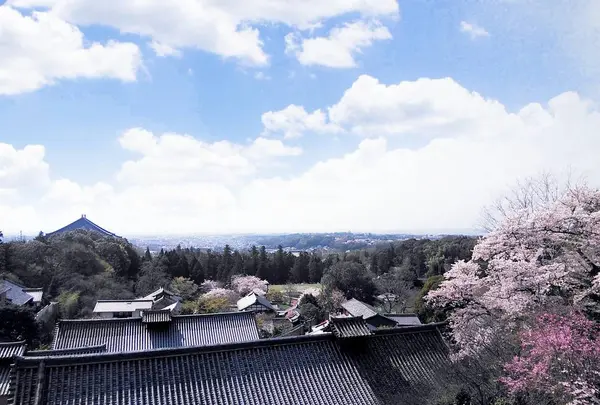 東大寺二月堂の写真・動画_image_279671