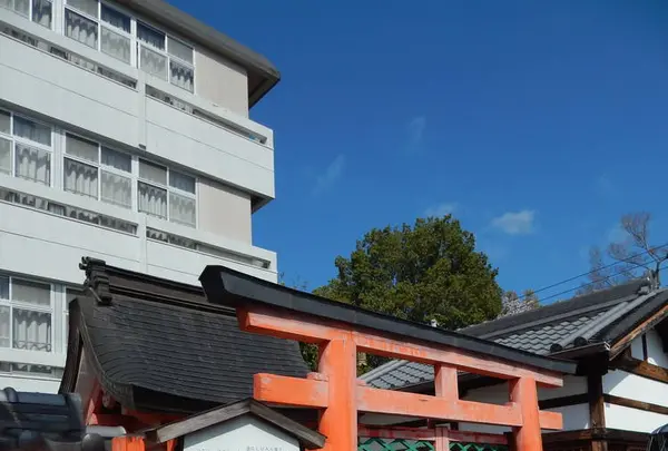 猿沢池の写真・動画_image_279682