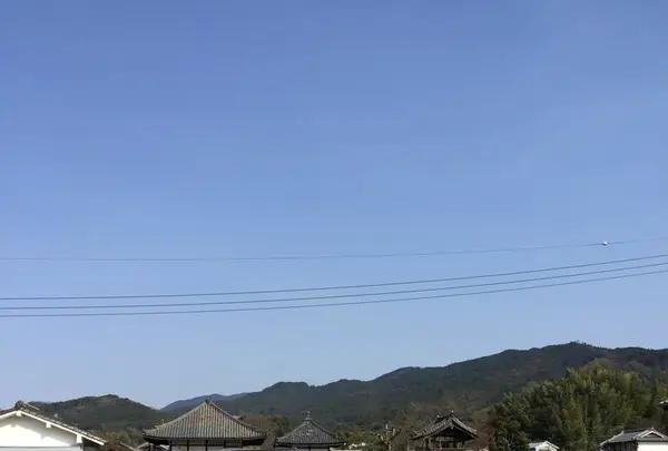 安居院（飛鳥寺）の写真・動画_image_279942