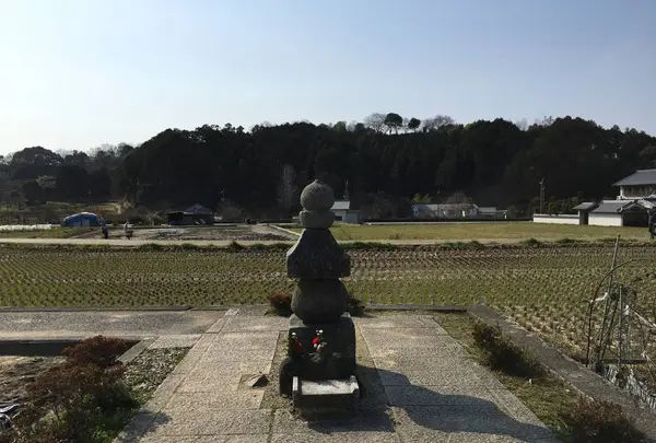 安居院（飛鳥寺）の写真・動画_image_279944