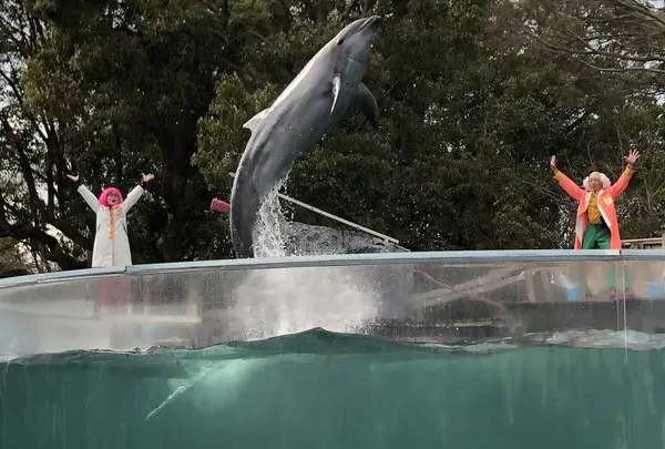新屋島水族館の写真・動画_image_279964