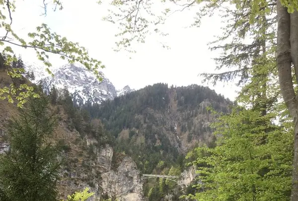 Schloss Neuschwanstein（ノイシュヴァンシュタイン城）の写真・動画_image_280004