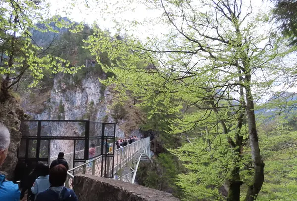 Schloss Neuschwanstein（ノイシュヴァンシュタイン城）の写真・動画_image_280022