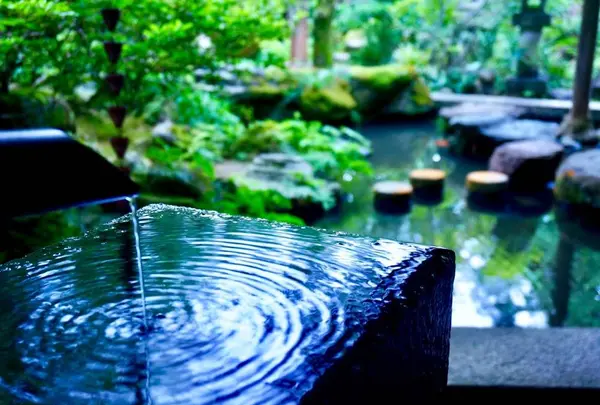 武家屋敷跡 野村家の写真・動画_image_280141