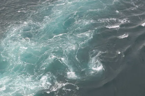 渦の道の写真・動画_image_280290