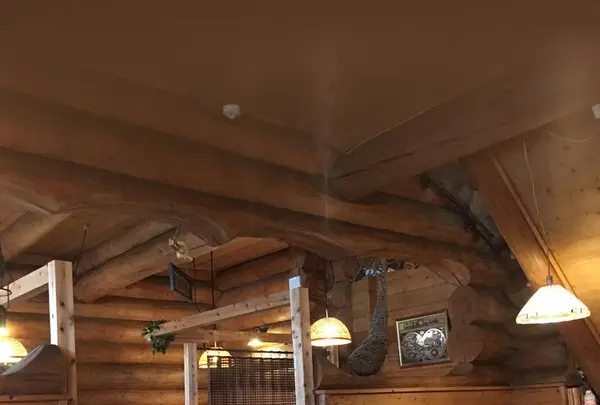 自家製ハンバーグの店 ログログの写真・動画_image_280452