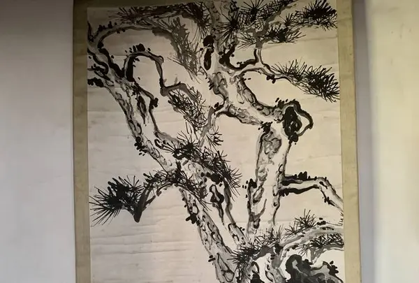 萬慶寺の写真・動画_image_280725