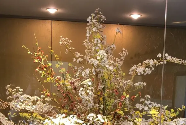 金沢市老舗記念館の写真・動画_image_280799