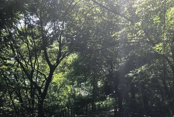 赤羽自然観察公園の写真・動画_image_281190