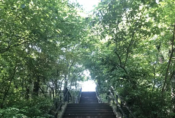 赤羽自然観察公園の写真・動画_image_281191