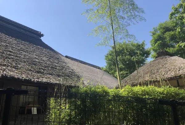 赤羽自然観察公園の写真・動画_image_281192