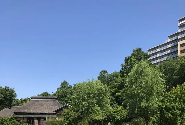 赤羽自然観察公園の写真・動画_image_281194