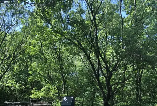 赤羽自然観察公園の写真・動画_image_281197