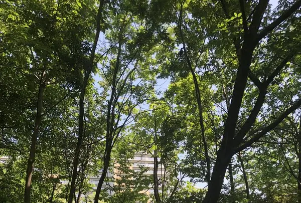 赤羽自然観察公園の写真・動画_image_281198