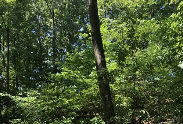 赤羽自然観察公園の写真・動画_image_281199