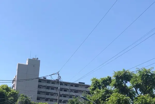 赤羽自然観察公園の写真・動画_image_281200