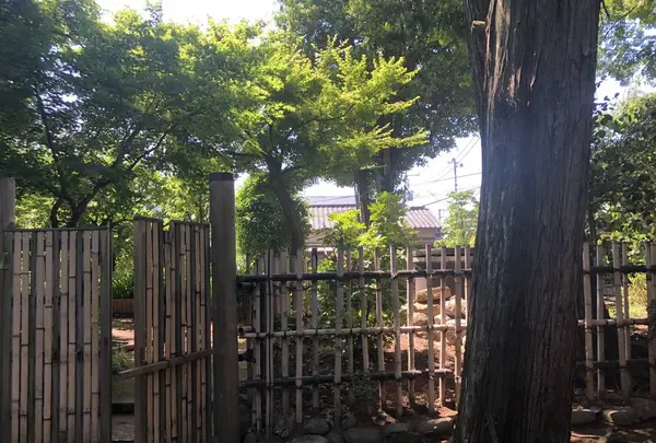 稲付城跡の写真・動画_image_281211