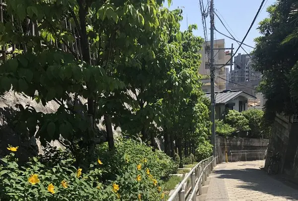 稲付城跡の写真・動画_image_281216
