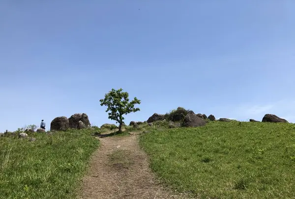押戸石の丘の写真・動画_image_281342