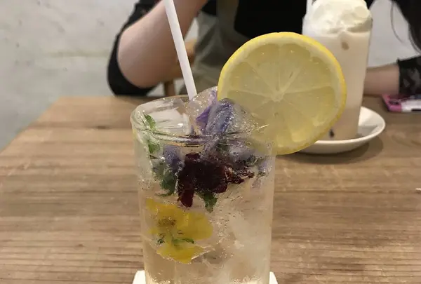 【閉店】マノ カフェ ヨー （mano cafe yøre）の写真・動画_image_281354