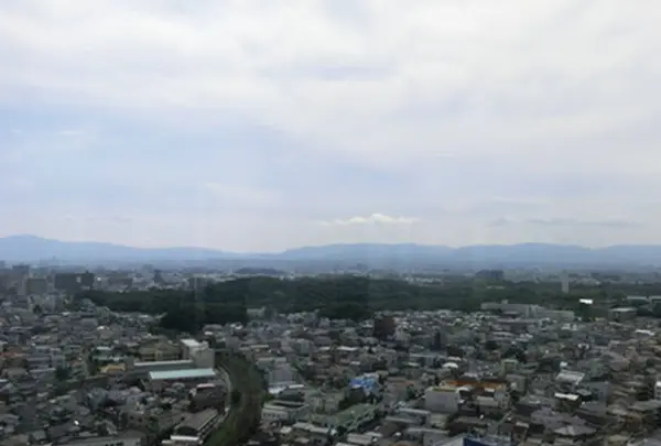 堺市役所の写真・動画_image_281601