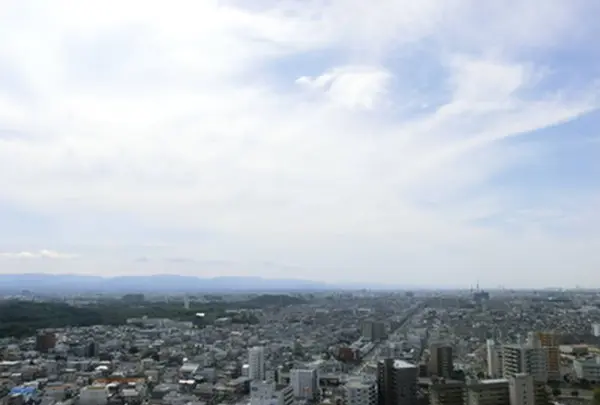 堺市役所の写真・動画_image_281602