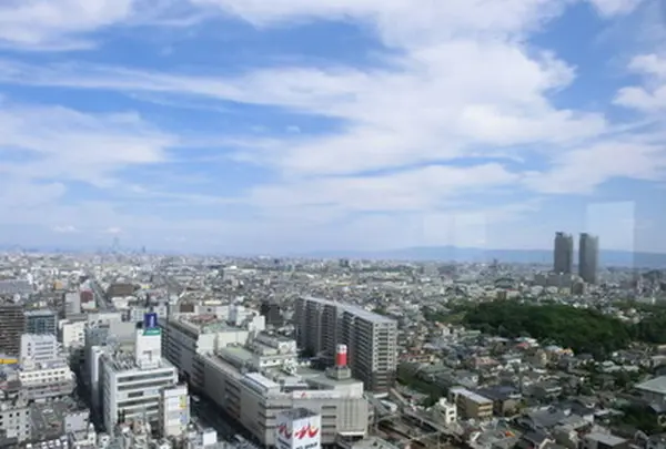 堺市役所の写真・動画_image_281604