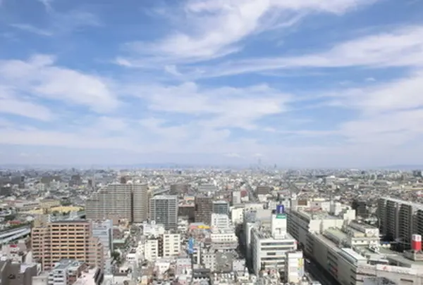 堺市役所の写真・動画_image_281605