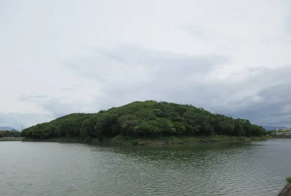 土師ニサンザイ古墳の写真・動画_image_281808