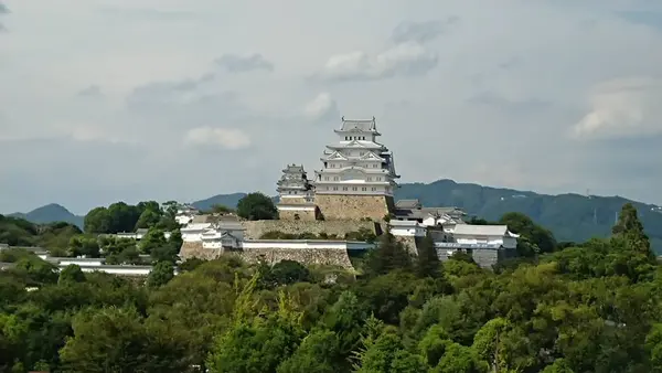 イーグレひめじの写真・動画_image_281963