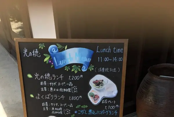 光の穂の写真・動画_image_282076