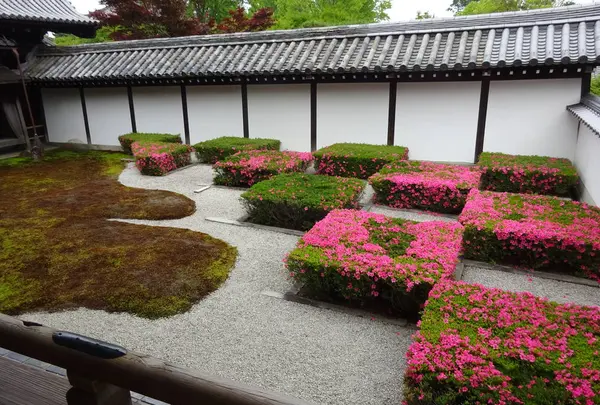 東福寺の写真・動画_image_282101
